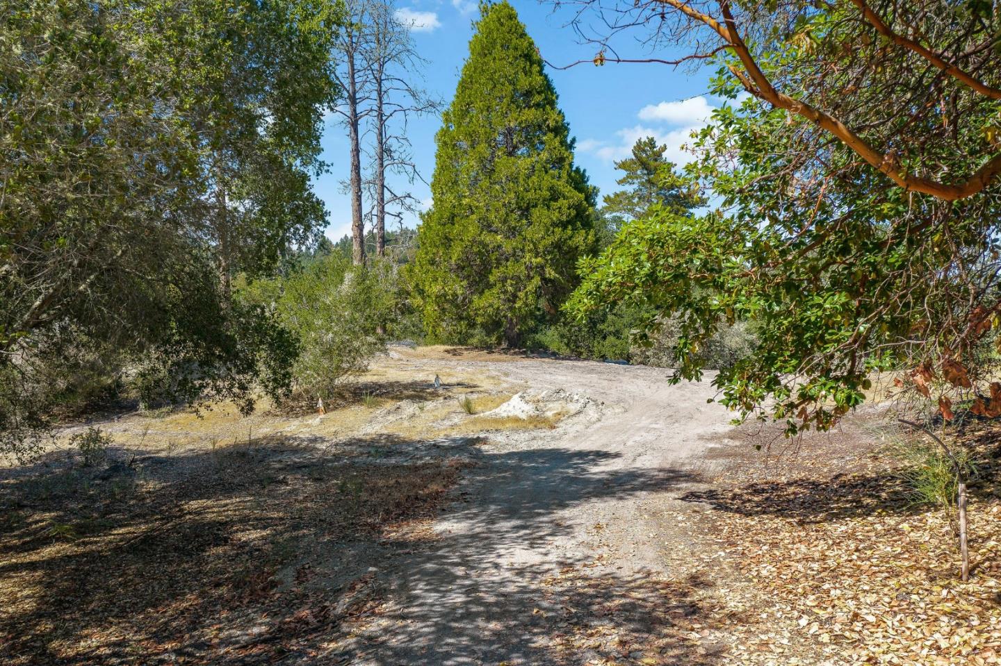 000 Conference Dr., SCOTTS VALLEY, California 95066, ,Lots And Land,For Sale,Conference Dr.,40965300