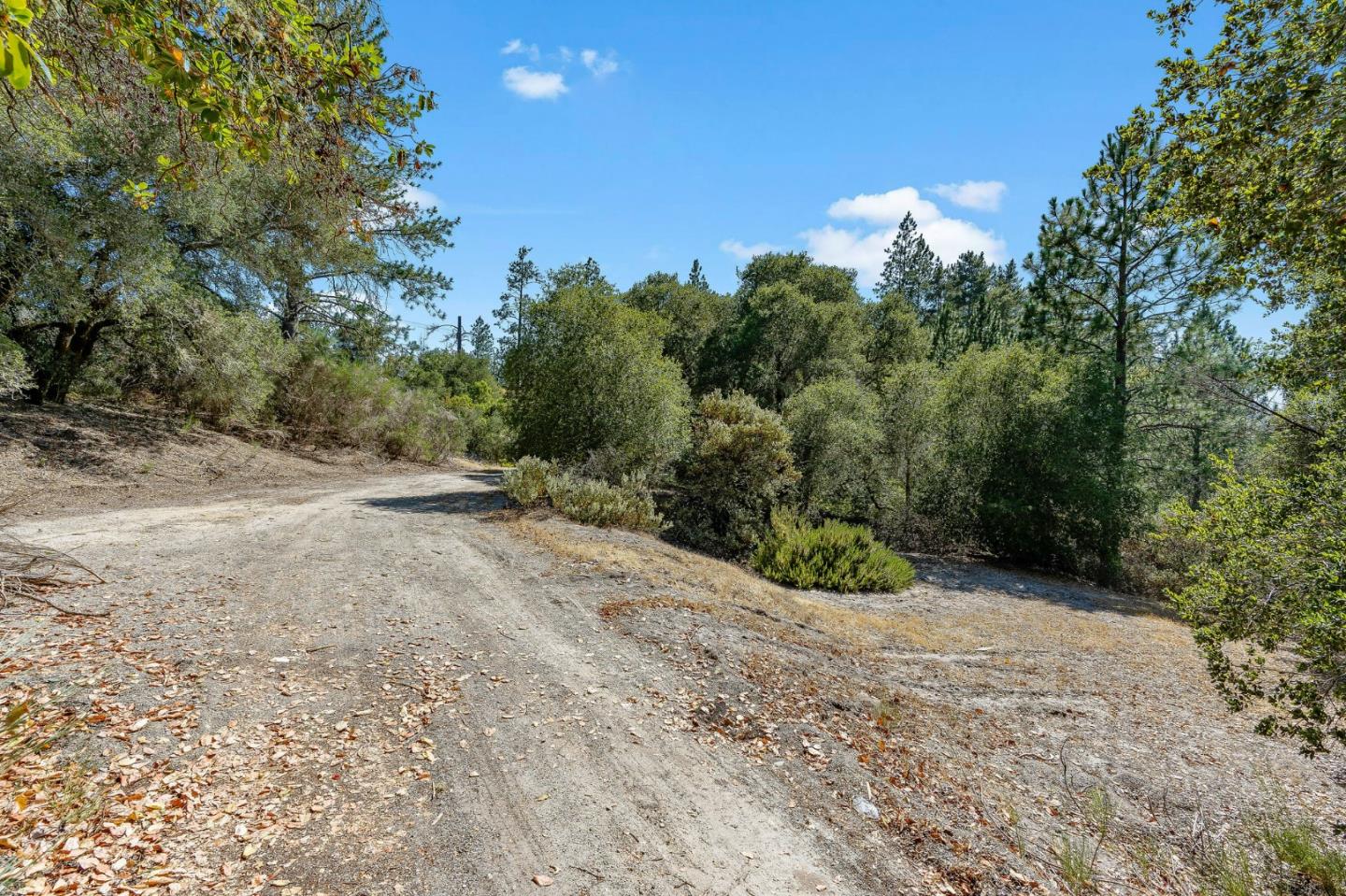 000 Conference Dr., SCOTTS VALLEY, California 95066, ,Lots And Land,For Sale,Conference Dr.,40965300