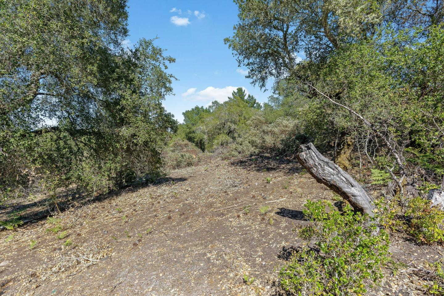 000 Conference Dr., SCOTTS VALLEY, California 95066, ,Lots And Land,For Sale,Conference Dr.,40965300