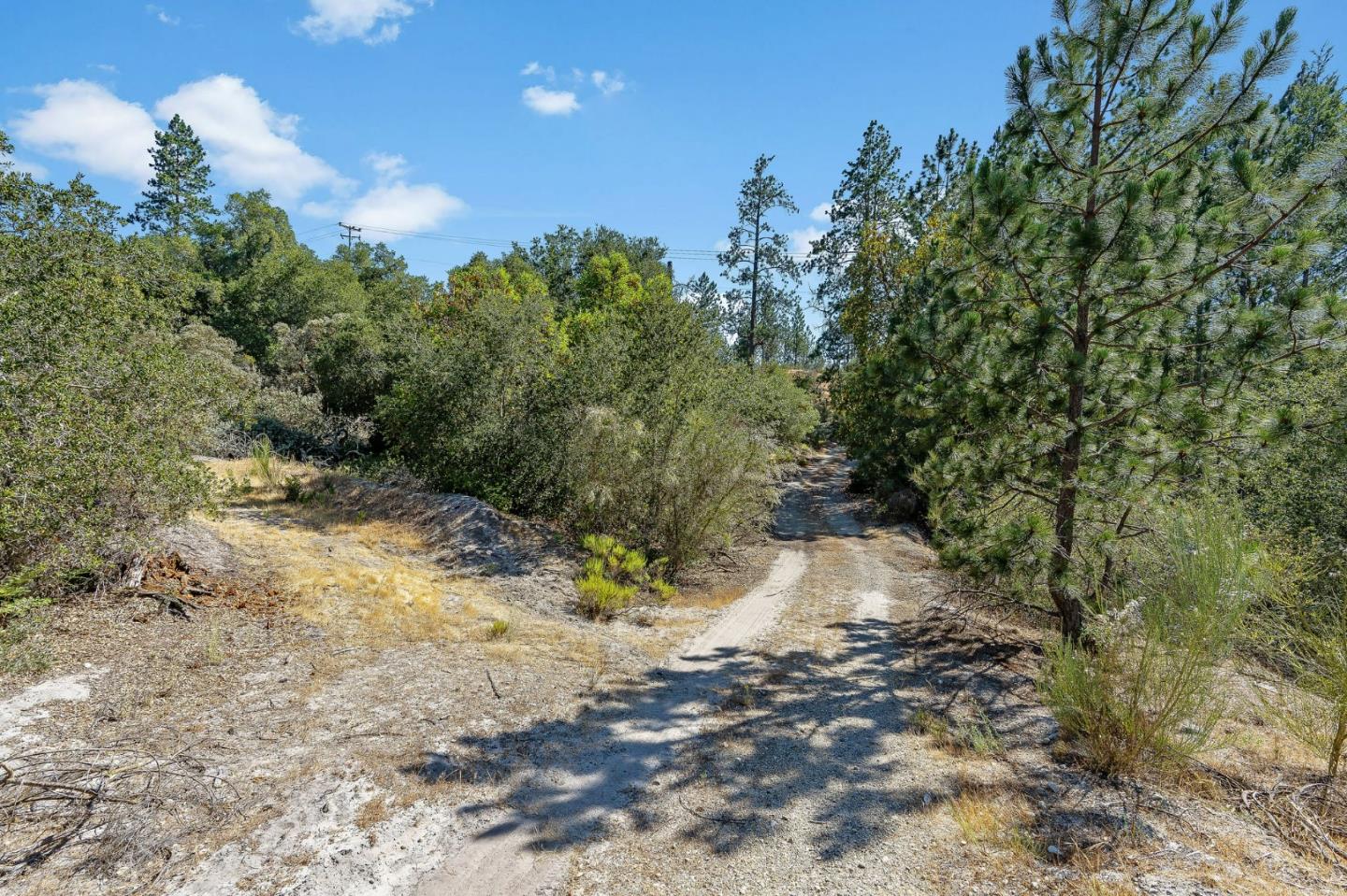 000 Conference Dr., SCOTTS VALLEY, California 95066, ,Lots And Land,For Sale,Conference Dr.,40965300