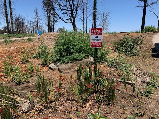 118 Braemoor Drive, SANTA CRUZ, California 95060, ,Lots And Land,For Sale,Braemoor Drive,40965330