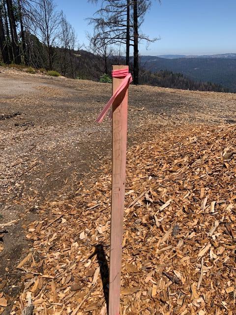 118 Braemoor Drive, SANTA CRUZ, California 95060, ,Lots And Land,For Sale,Braemoor Drive,40965330