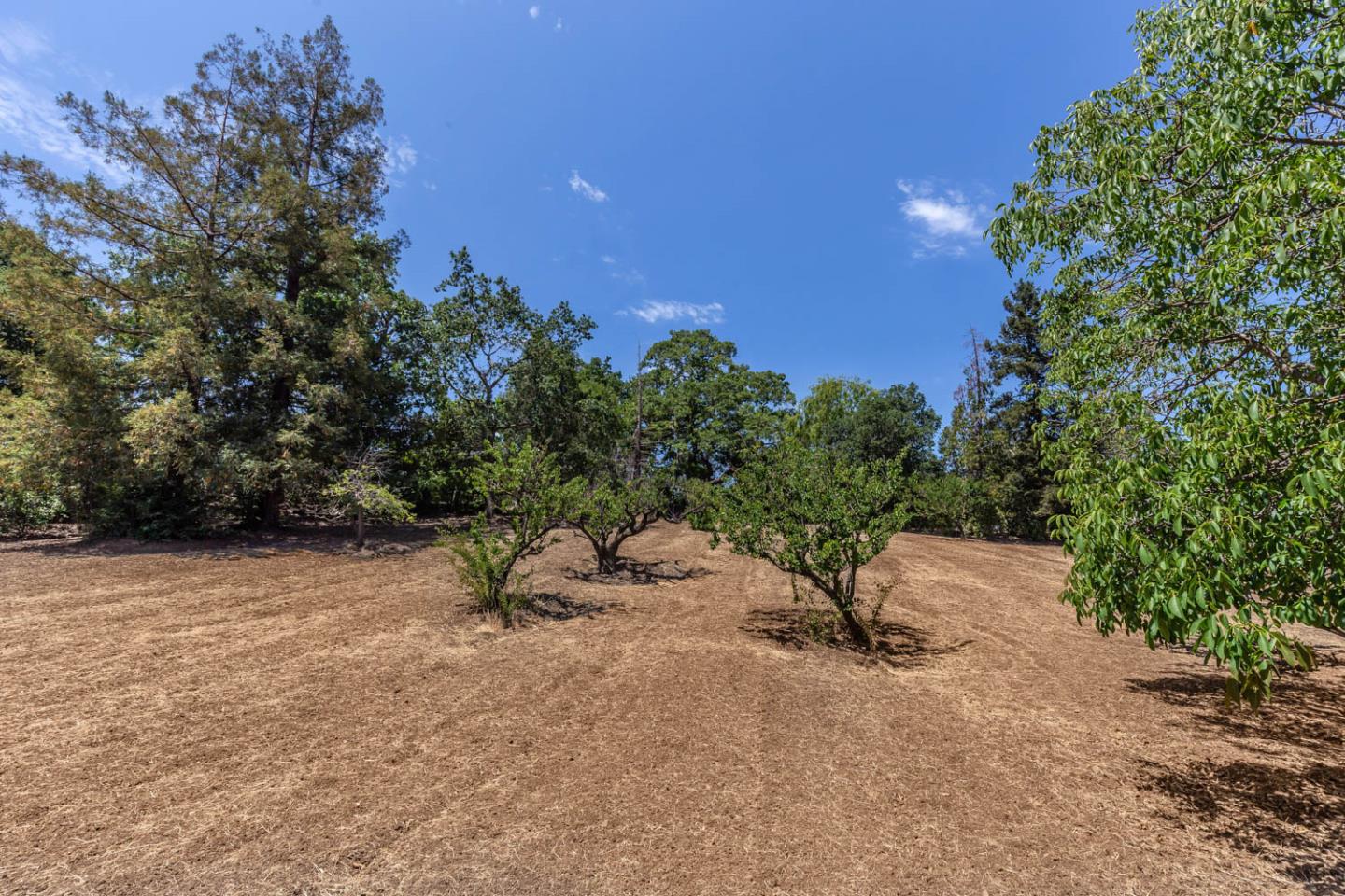 0 Joandra Court, LOS ALTOS, California 94024, ,Lots And Land,For Sale,Joandra Court,40965332