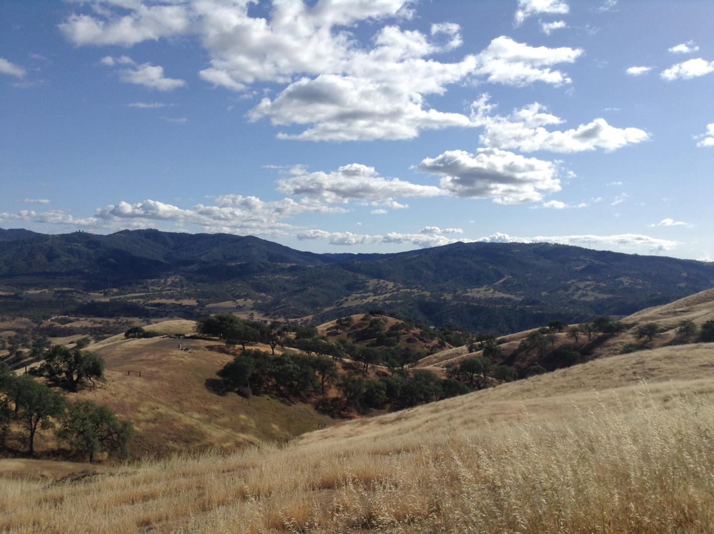 Lot 23 Panoche Road, PAICINES, California 95043, ,Lots And Land,For Sale,Panoche Road,40965349