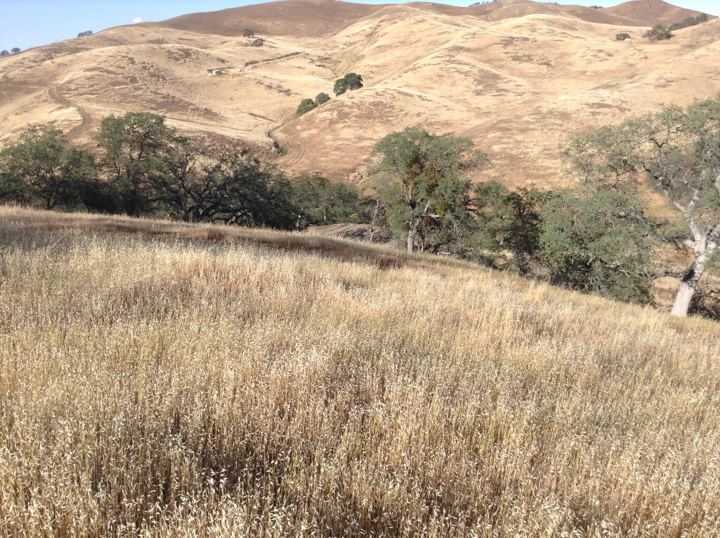 Lot 23 Panoche Road, PAICINES, California 95043, ,Lots And Land,For Sale,Panoche Road,40965349