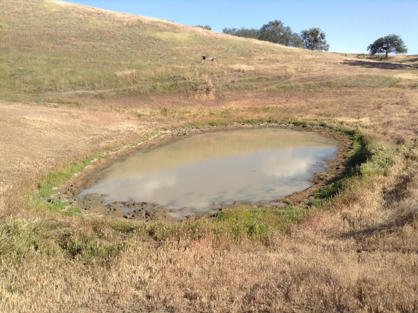 Lot 23 Panoche Road, PAICINES, California 95043, ,Lots And Land,For Sale,Panoche Road,40965349