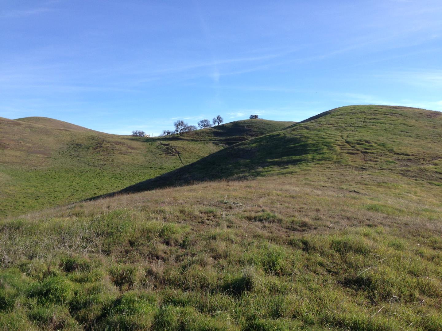 Lot 23 Panoche Road, PAICINES, California 95043, ,Lots And Land,For Sale,Panoche Road,40965349