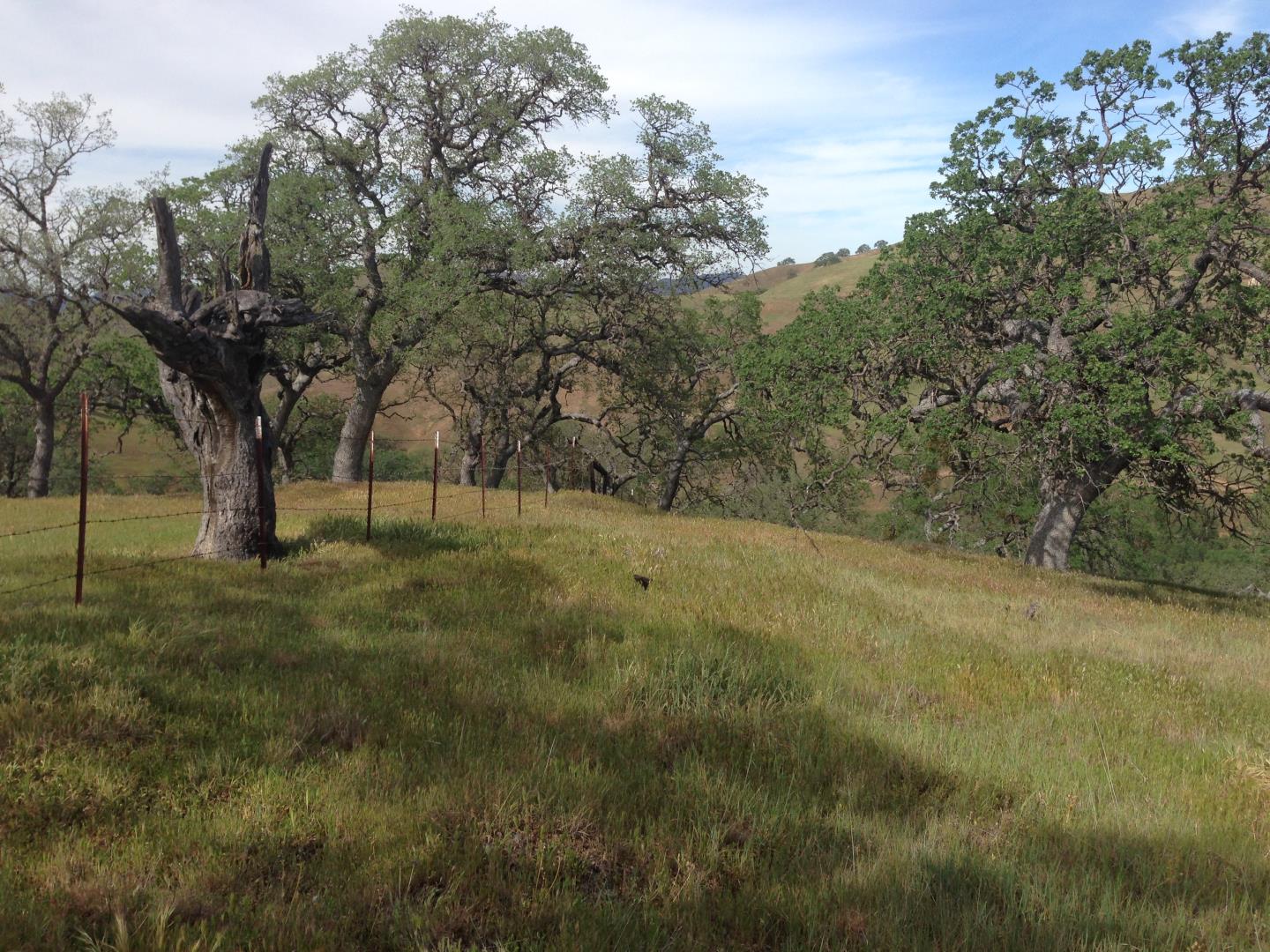 Lot 23 Panoche Road, PAICINES, California 95043, ,Lots And Land,For Sale,Panoche Road,40965349