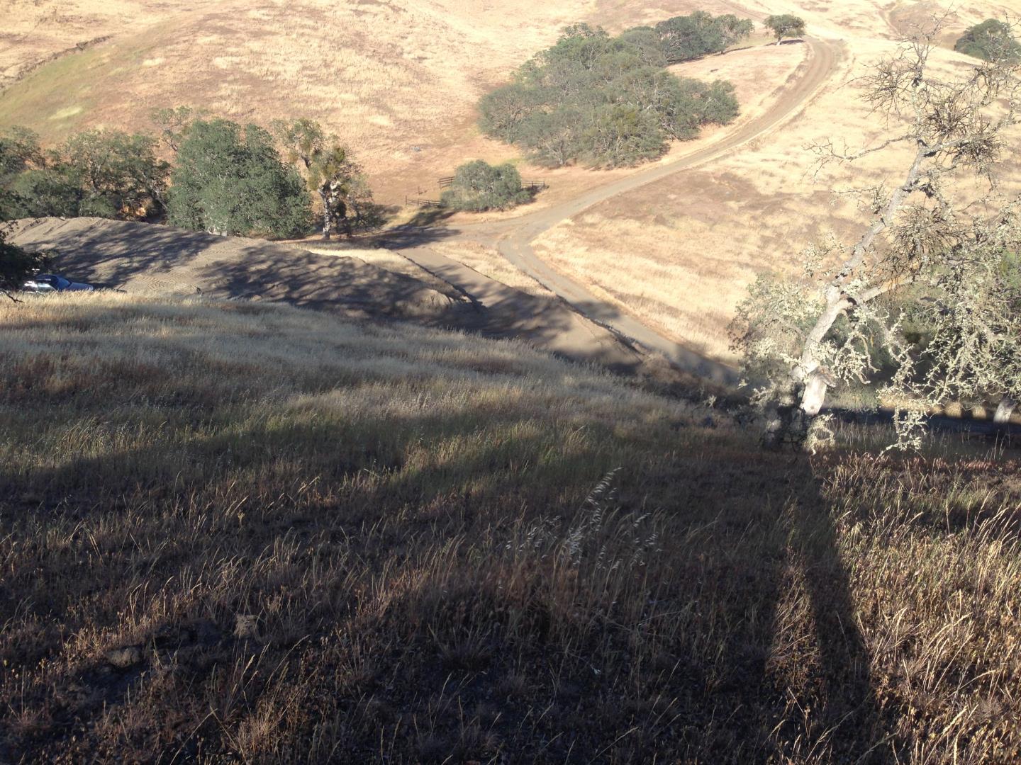 Lot 23 Panoche Road, PAICINES, California 95043, ,Lots And Land,For Sale,Panoche Road,40965349