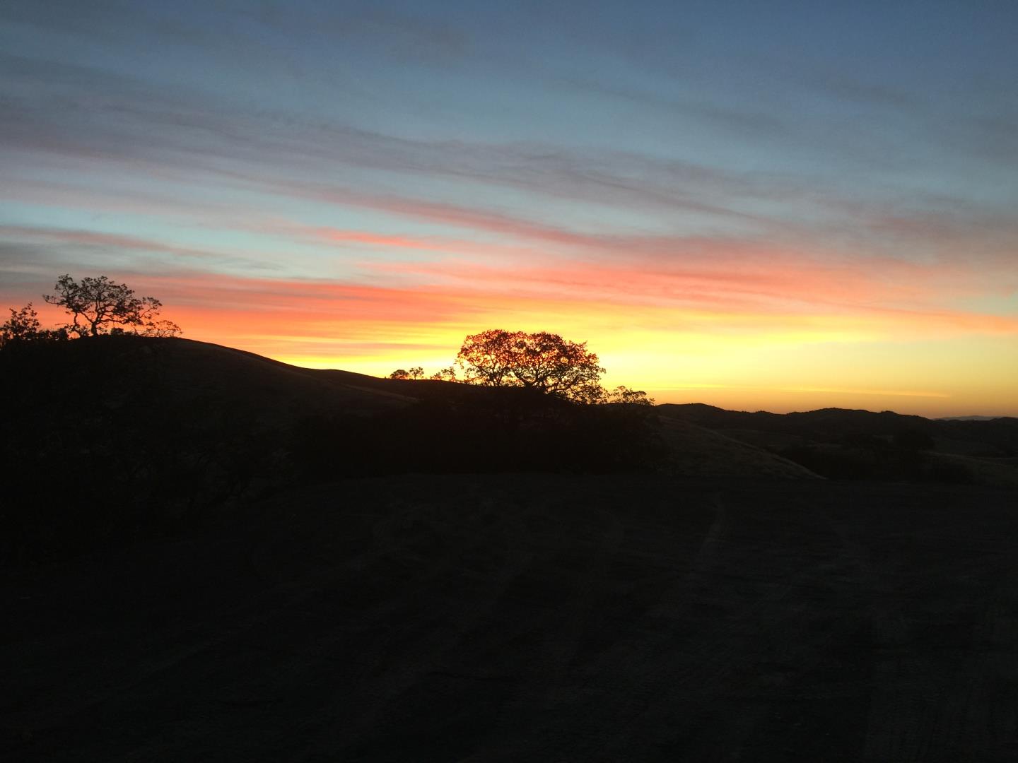 Lot 23 Panoche Road, PAICINES, California 95043, ,Lots And Land,For Sale,Panoche Road,40965349