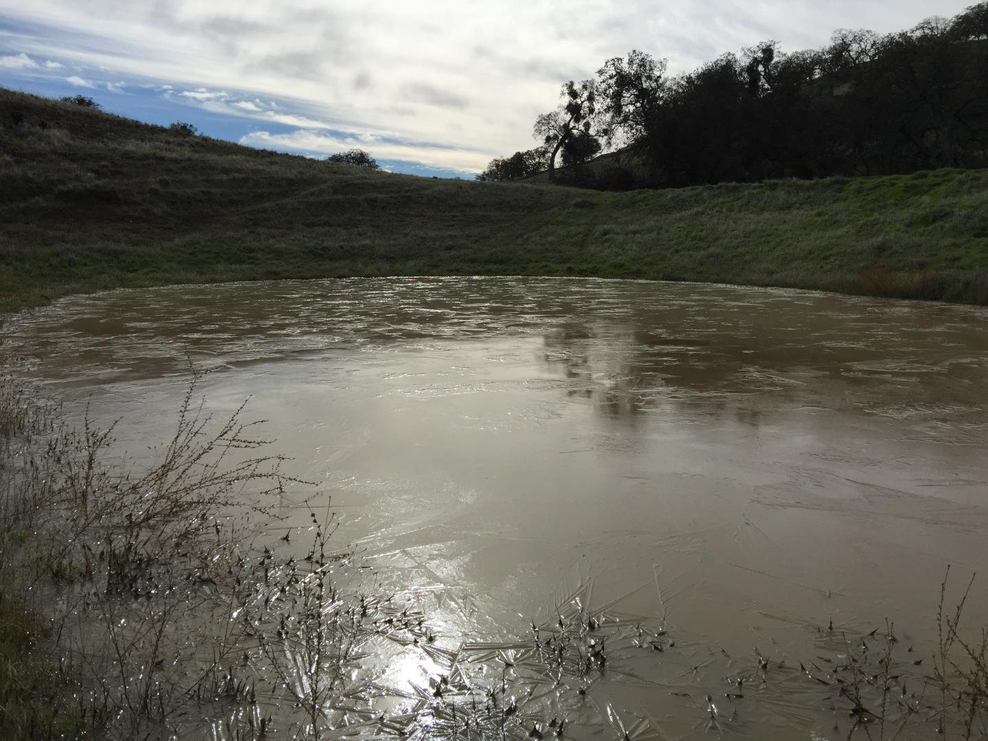 Lot 23 Panoche Road, PAICINES, California 95043, ,Lots And Land,For Sale,Panoche Road,40965349