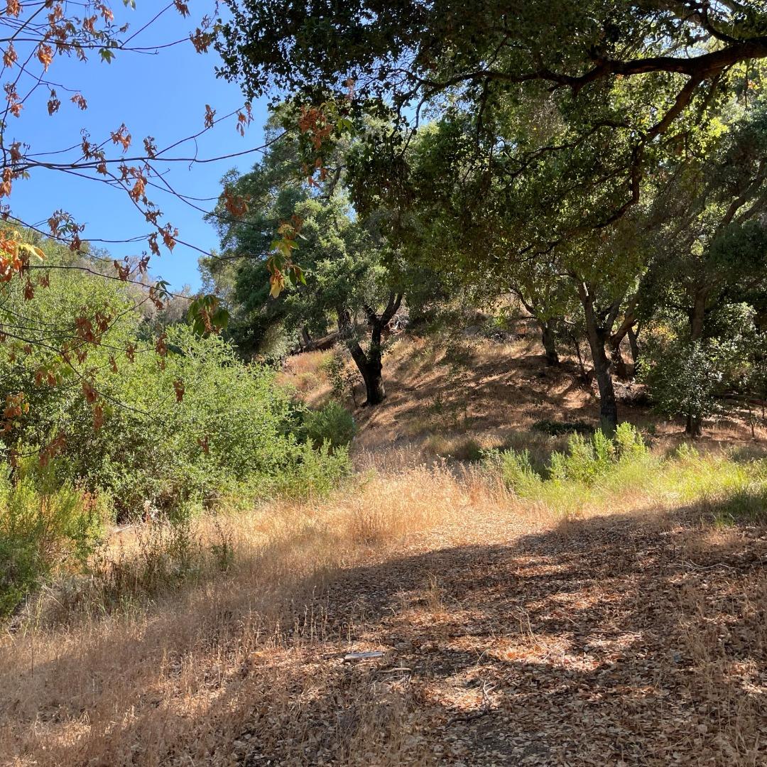 15580 Armsby Lane, MORGAN HILL, California 95037, ,Lots And Land,For Sale,Armsby Lane,40965351
