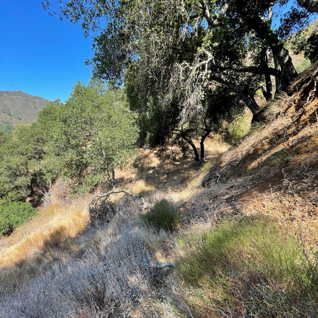 15580 Armsby Lane, MORGAN HILL, California 95037, ,Lots And Land,For Sale,Armsby Lane,40965351