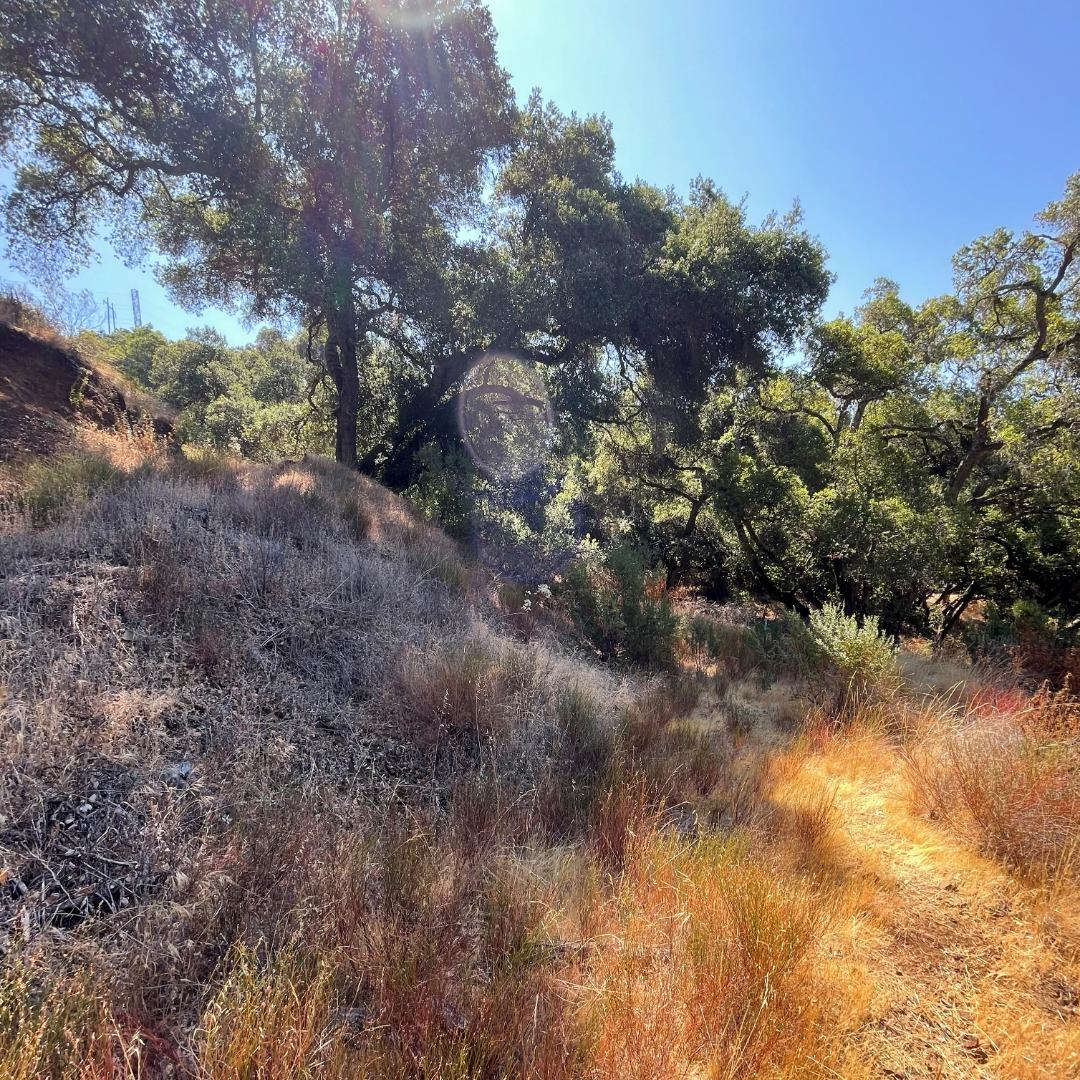 15580 Armsby Lane, MORGAN HILL, California 95037, ,Lots And Land,For Sale,Armsby Lane,40965351