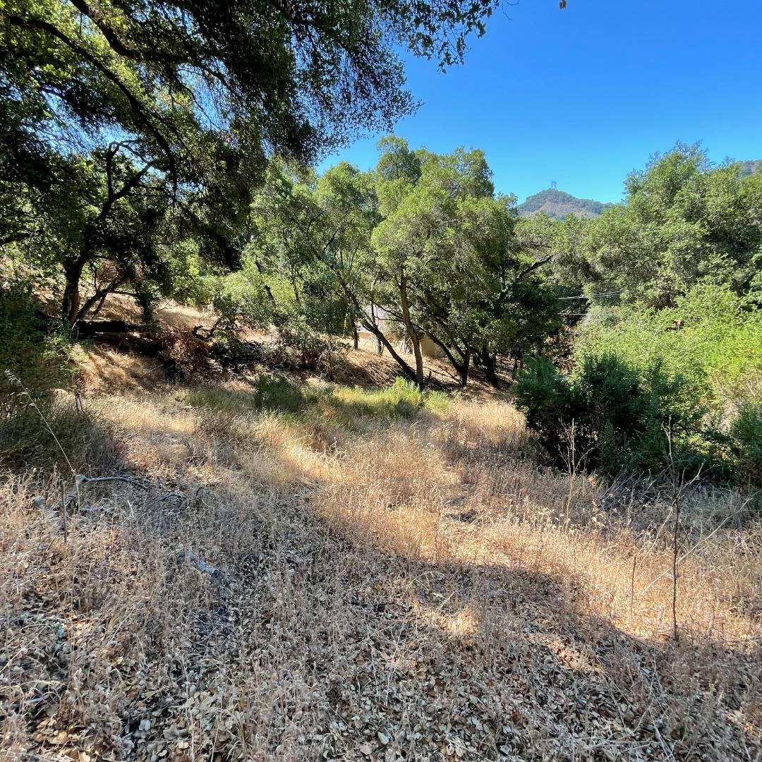 15580 Armsby Lane, MORGAN HILL, California 95037, ,Lots And Land,For Sale,Armsby Lane,40965351