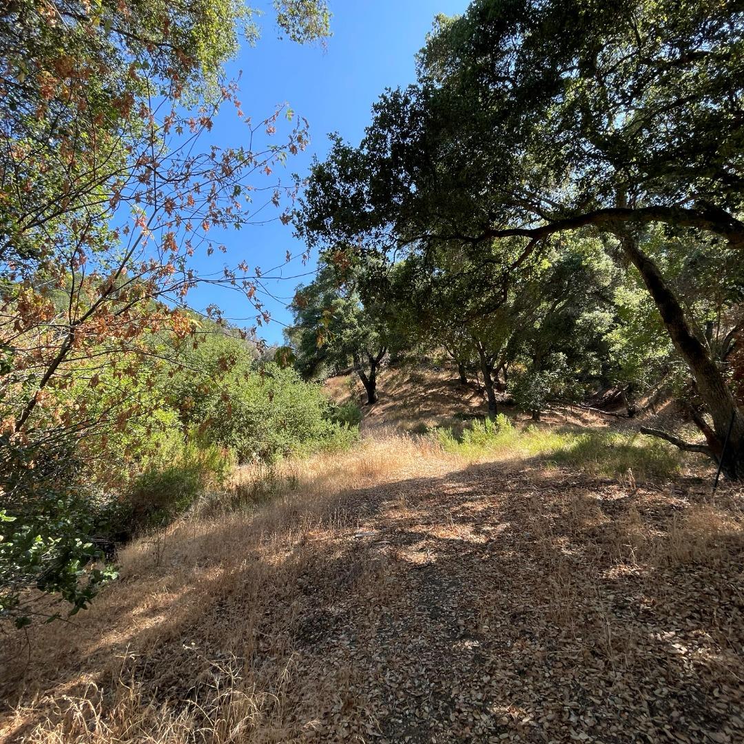 15580 Armsby Lane, MORGAN HILL, California 95037, ,Lots And Land,For Sale,Armsby Lane,40965351