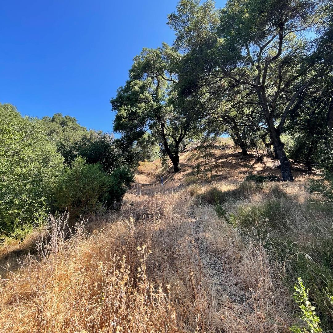 15580 Armsby Lane, MORGAN HILL, California 95037, ,Lots And Land,For Sale,Armsby Lane,40965351