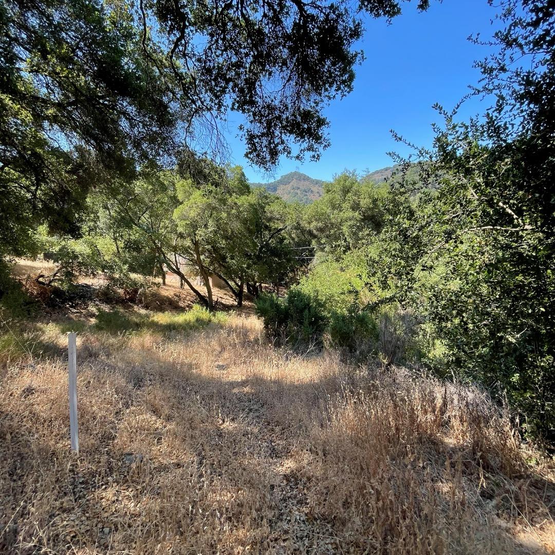 15580 Armsby Lane, MORGAN HILL, California 95037, ,Lots And Land,For Sale,Armsby Lane,40965351