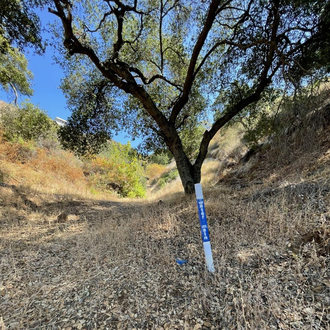 15580 Armsby Lane, MORGAN HILL, California 95037, ,Lots And Land,For Sale,Armsby Lane,40965351