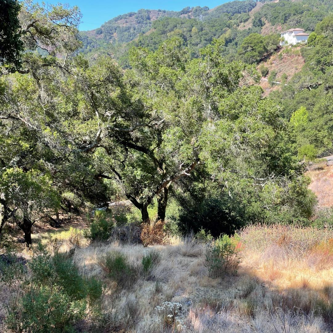 15580 Armsby Lane, MORGAN HILL, California 95037, ,Lots And Land,For Sale,Armsby Lane,40965351