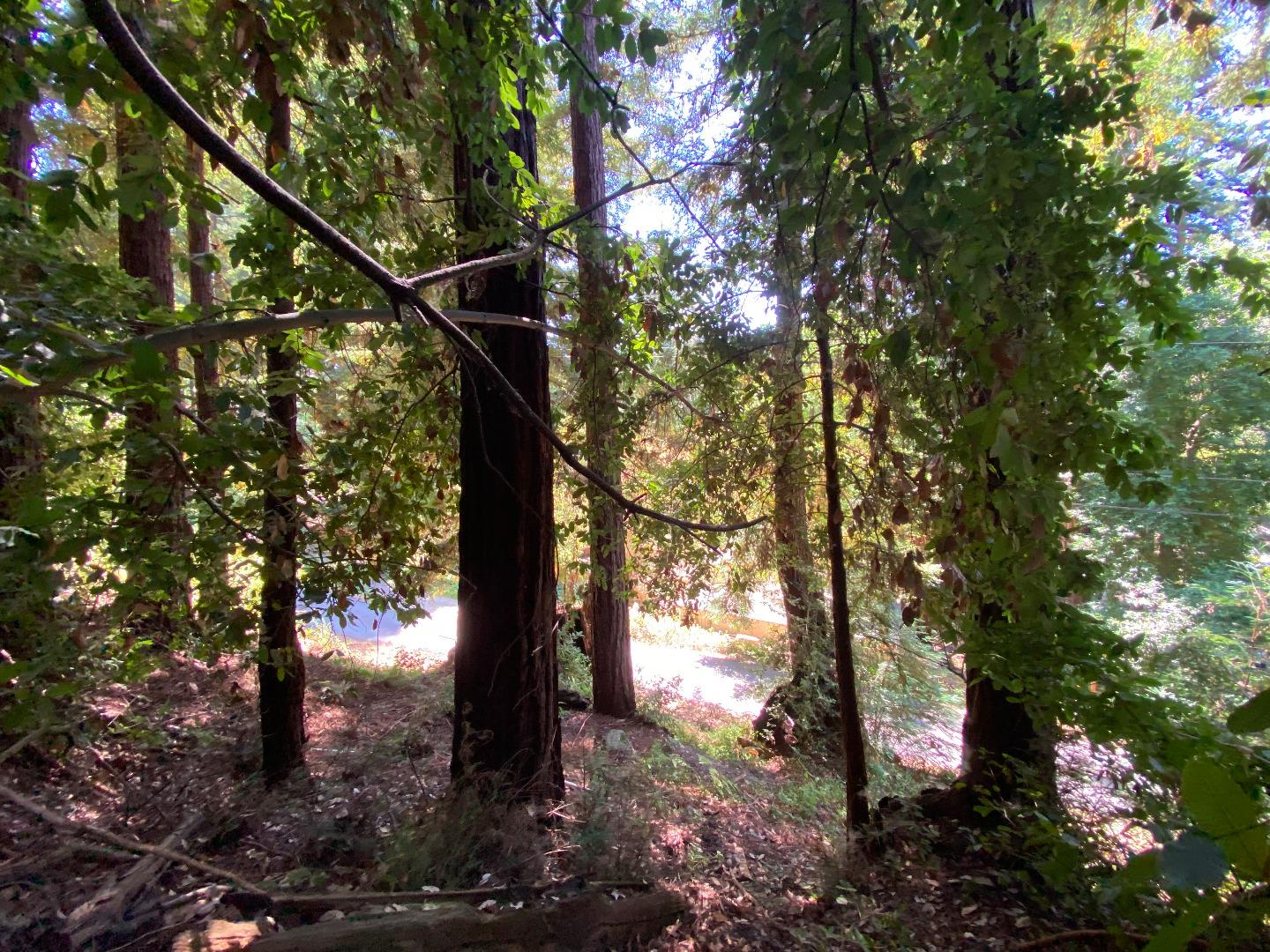 00 Tipping Way, BEN LOMOND, California 95005, ,Lots And Land,For Sale,Tipping Way,40965350