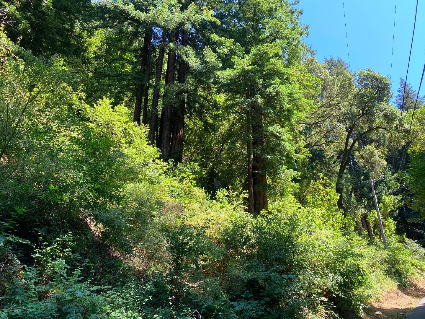 00 Tipping Way, BEN LOMOND, California 95005, ,Lots And Land,For Sale,Tipping Way,40965350