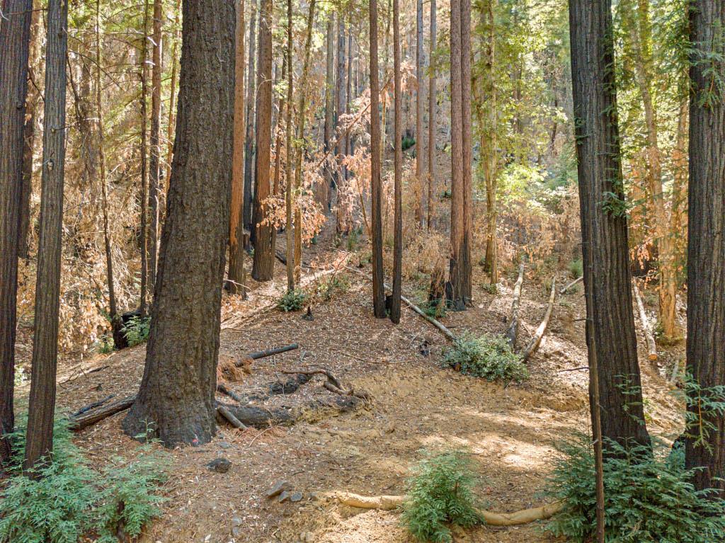 11837 Clear Creek Road, BROOKDALE, California 95007, ,Lots And Land,For Sale,Clear Creek Road,40965354