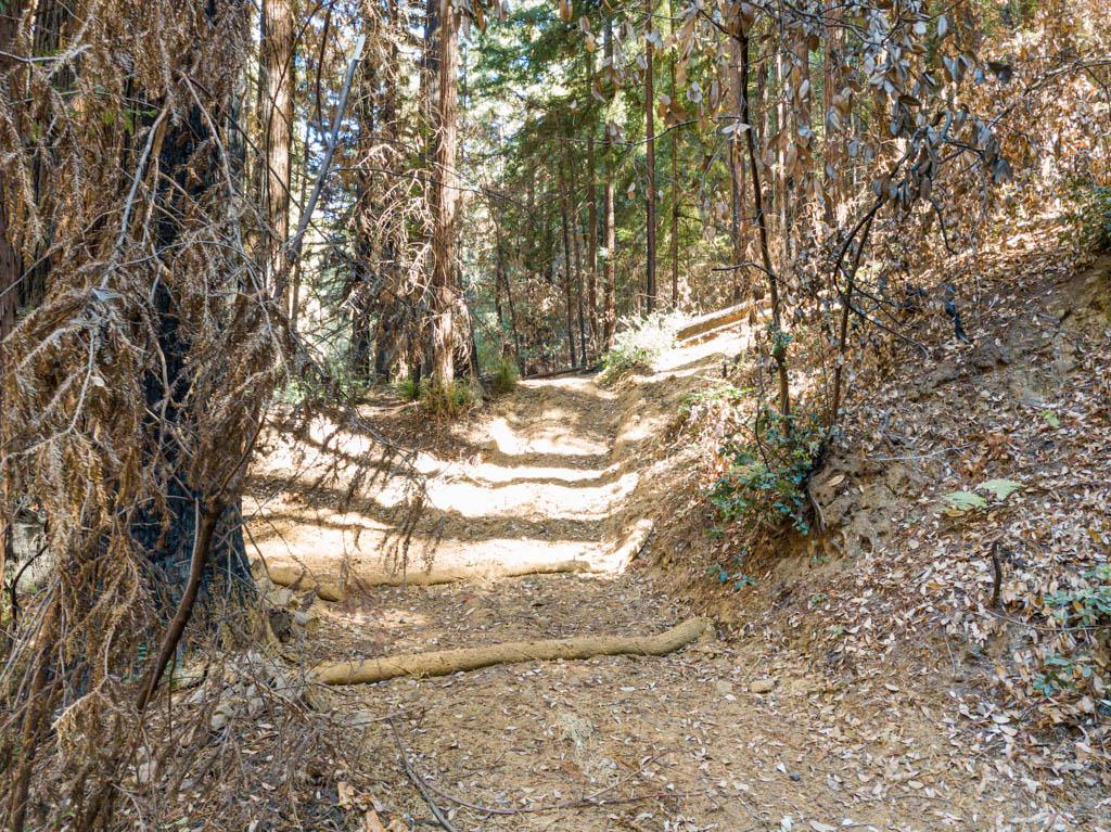 11837 Clear Creek Road, BROOKDALE, California 95007, ,Lots And Land,For Sale,Clear Creek Road,40965354