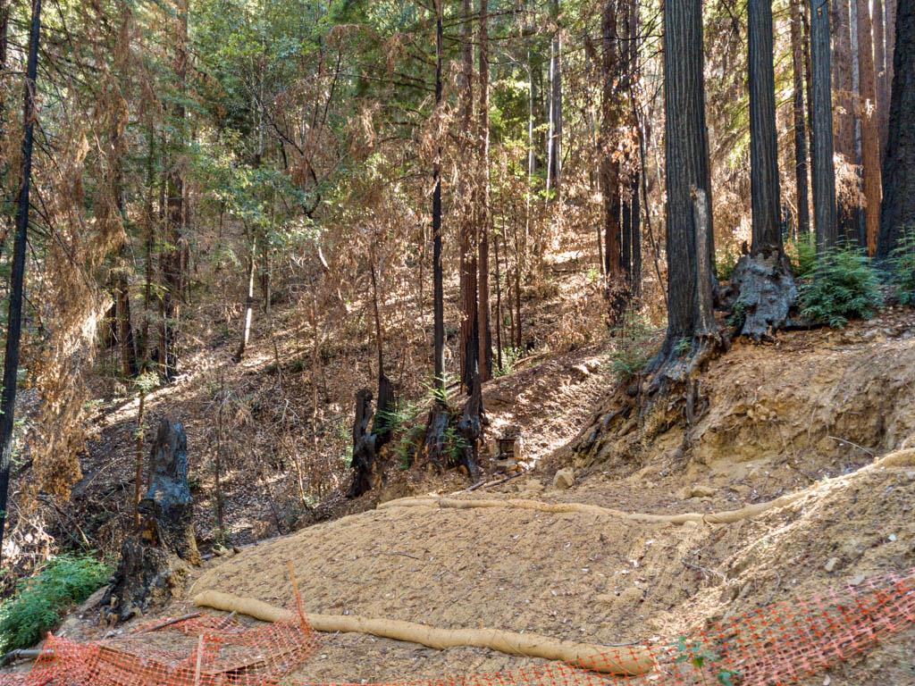 11837 Clear Creek Road, BROOKDALE, California 95007, ,Lots And Land,For Sale,Clear Creek Road,40965354