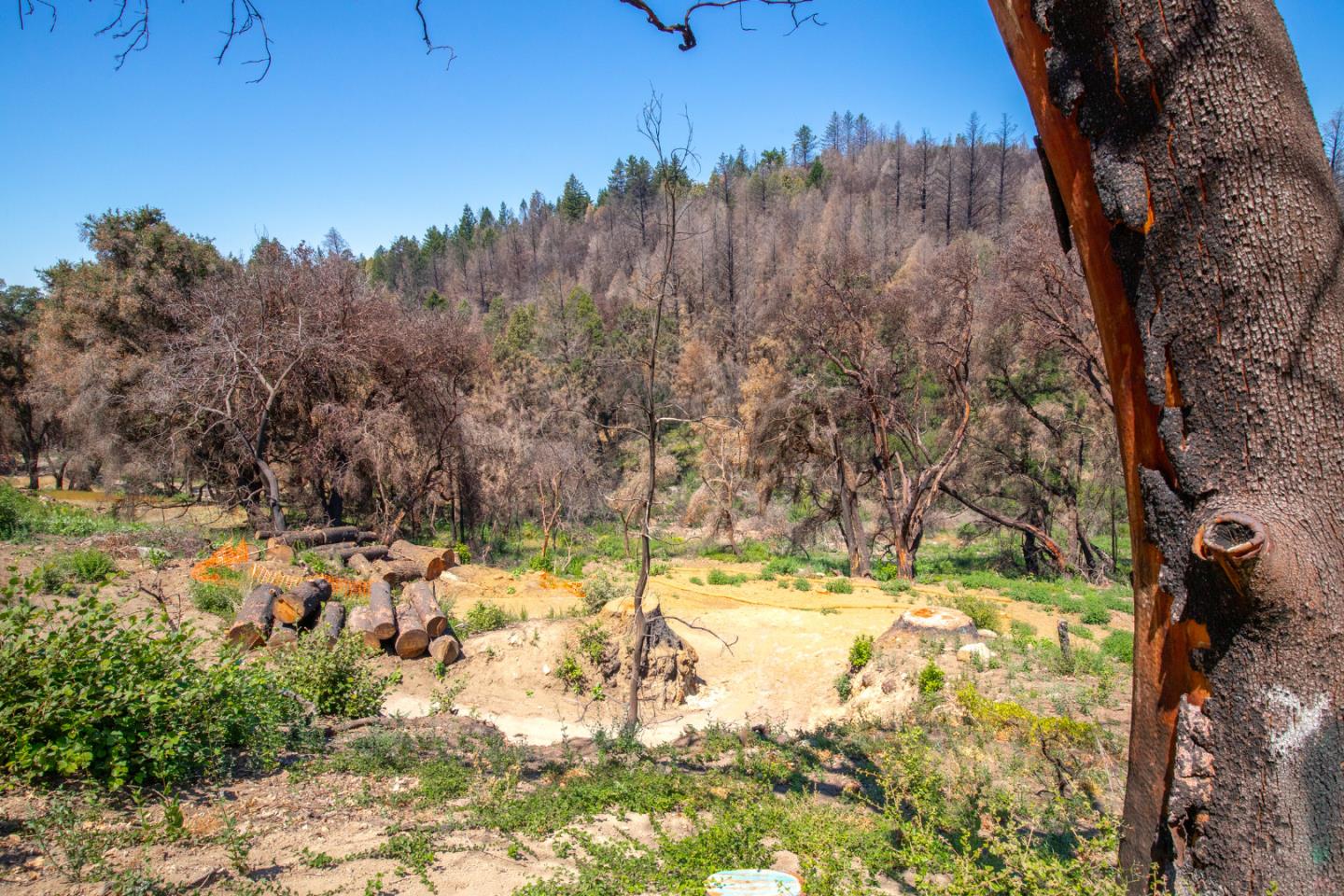 10909 Empire Grade, SANTA CRUZ, California 95060, ,Lots And Land,For Sale,Empire Grade,40965357