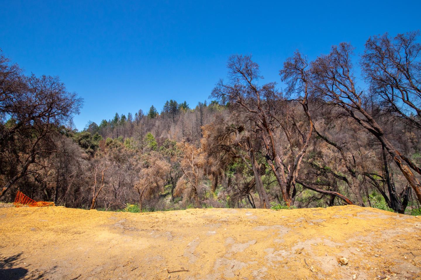 10909 Empire Grade, SANTA CRUZ, California 95060, ,Lots And Land,For Sale,Empire Grade,40965357