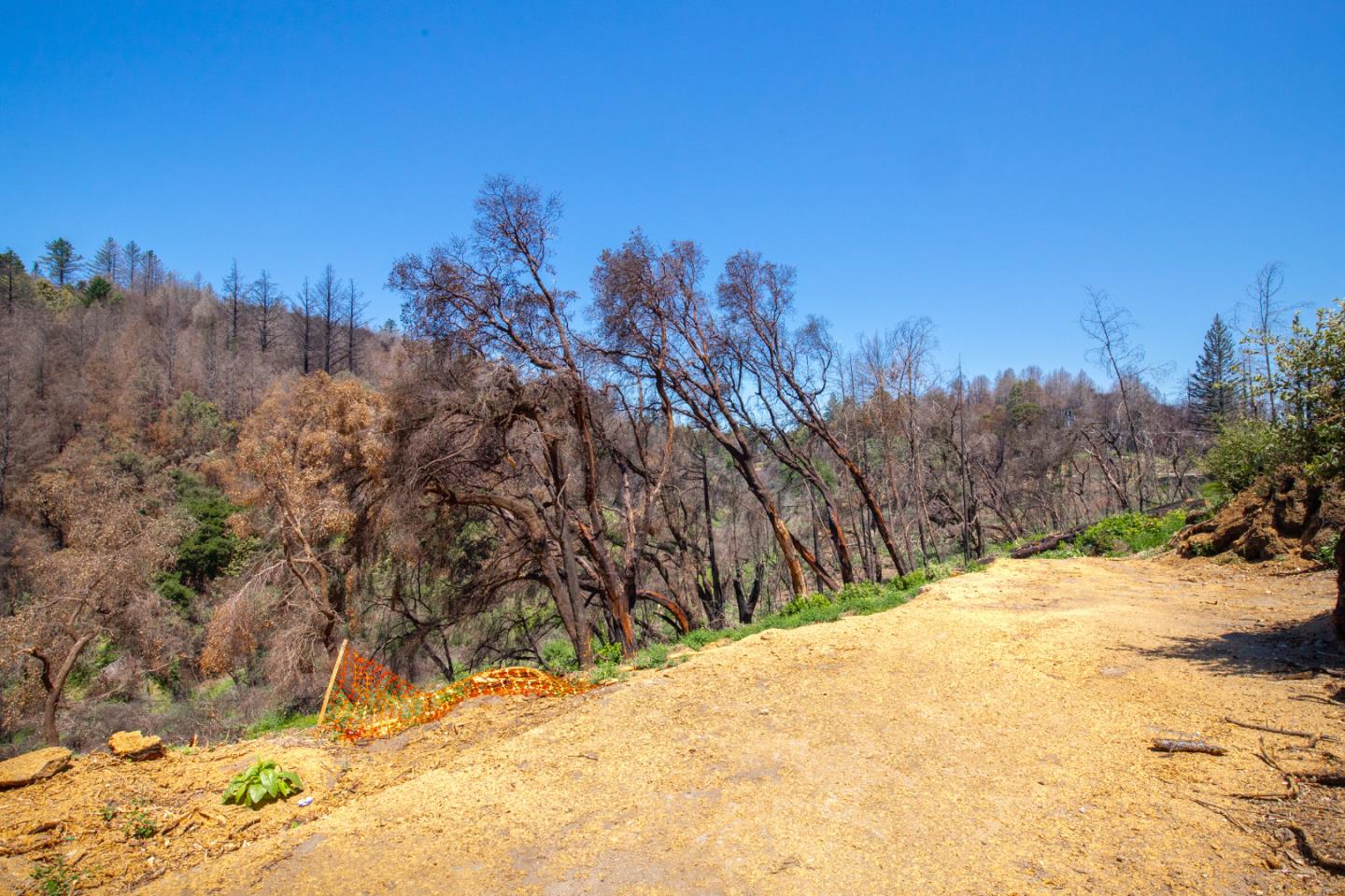10909 Empire Grade, SANTA CRUZ, California 95060, ,Lots And Land,For Sale,Empire Grade,40965357