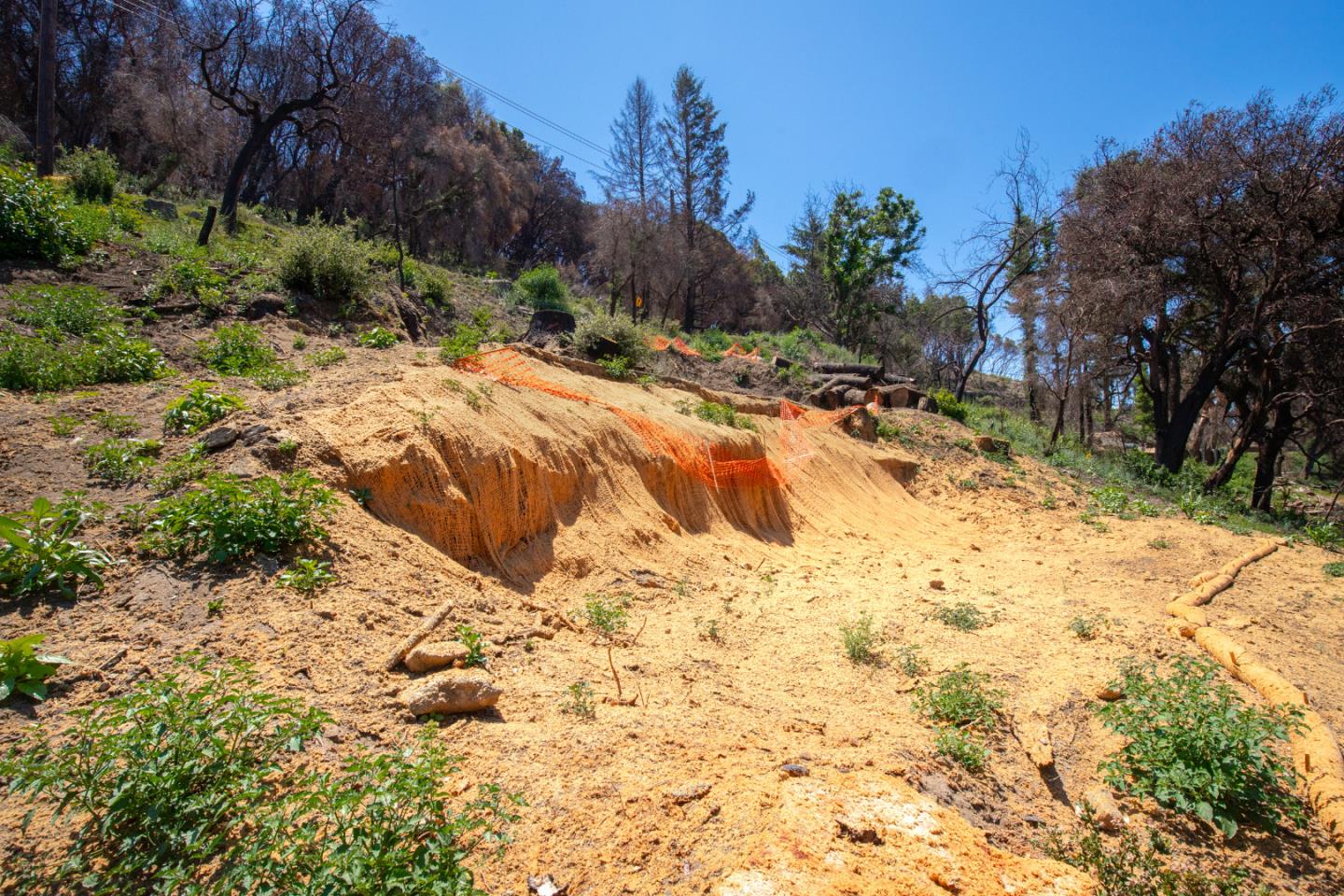 10909 Empire Grade, SANTA CRUZ, California 95060, ,Lots And Land,For Sale,Empire Grade,40965357