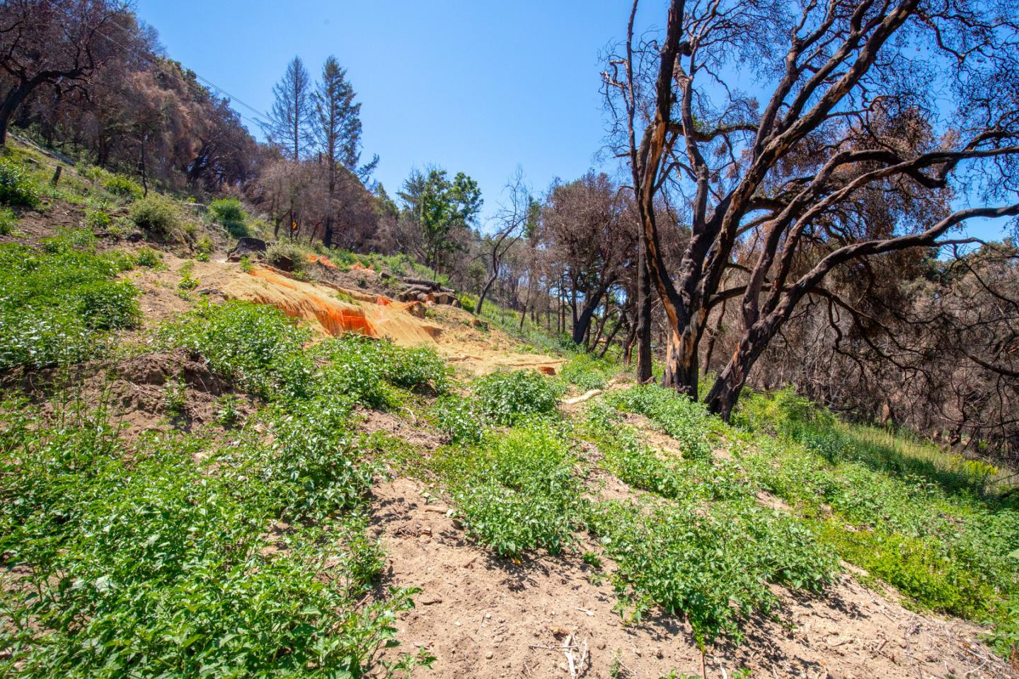 10909 Empire Grade, SANTA CRUZ, California 95060, ,Lots And Land,For Sale,Empire Grade,40965357