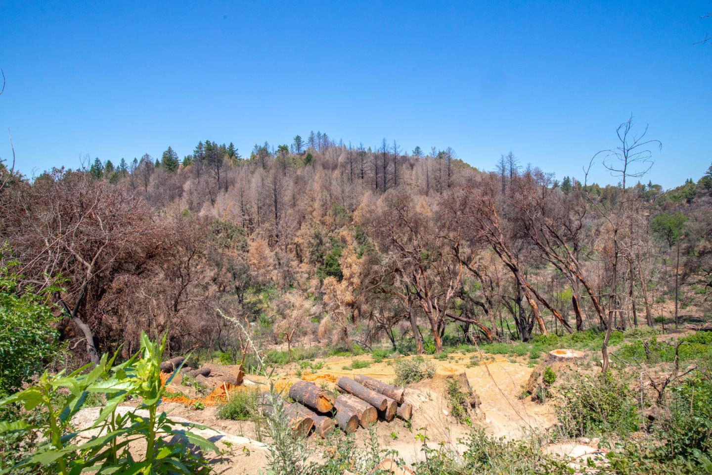 10909 Empire Grade, SANTA CRUZ, California 95060, ,Lots And Land,For Sale,Empire Grade,40965357
