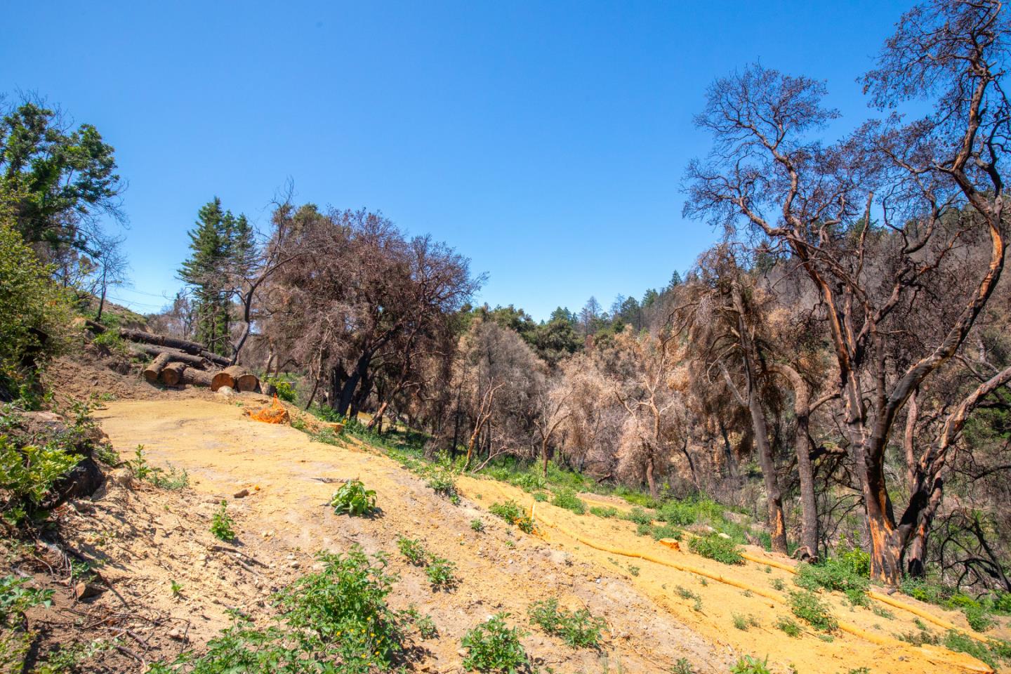 10909 Empire Grade, SANTA CRUZ, California 95060, ,Lots And Land,For Sale,Empire Grade,40965357
