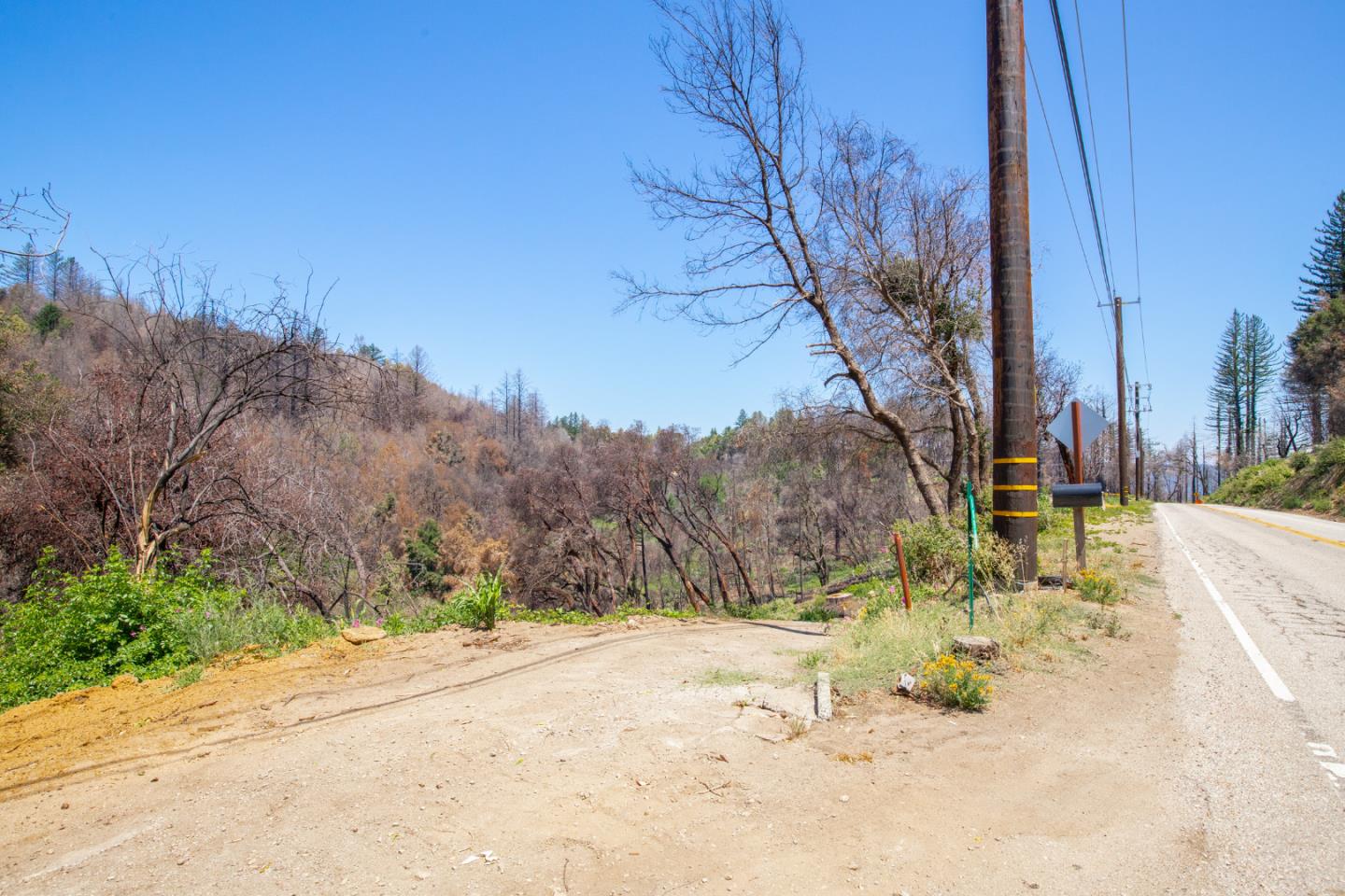 10909 Empire Grade, SANTA CRUZ, California 95060, ,Lots And Land,For Sale,Empire Grade,40965357