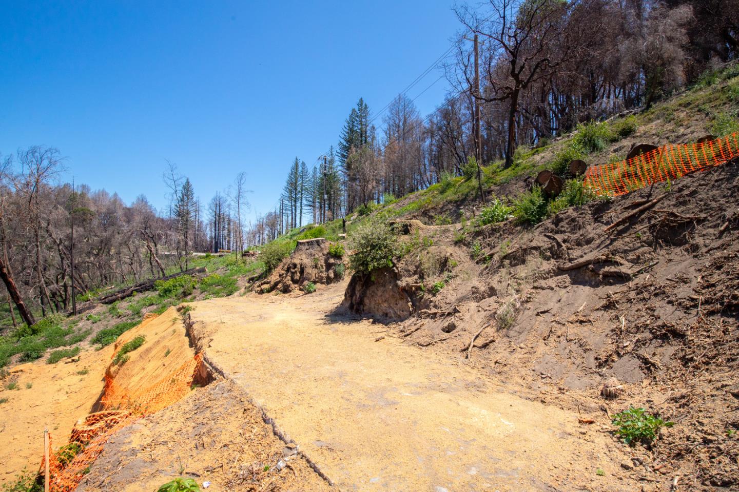 10909 Empire Grade, SANTA CRUZ, California 95060, ,Lots And Land,For Sale,Empire Grade,40965357
