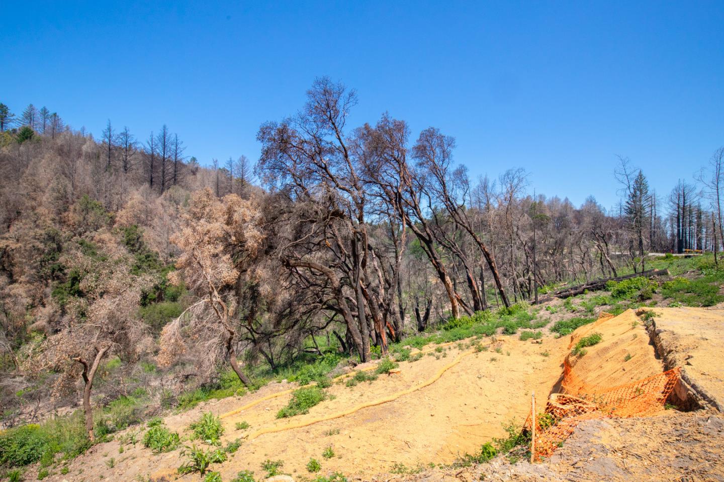 10909 Empire Grade, SANTA CRUZ, California 95060, ,Lots And Land,For Sale,Empire Grade,40965357