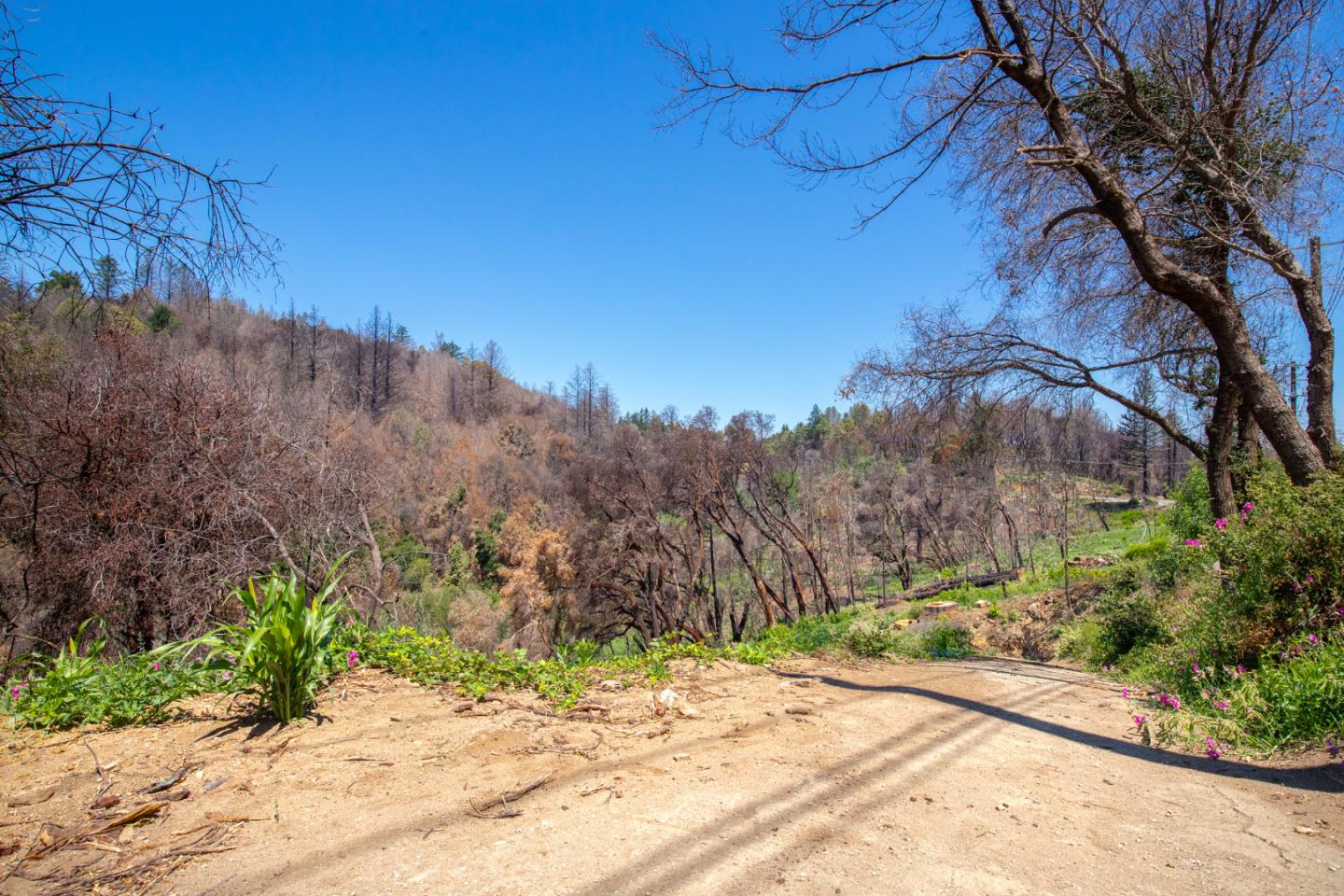 10909 Empire Grade, SANTA CRUZ, California 95060, ,Lots And Land,For Sale,Empire Grade,40965357