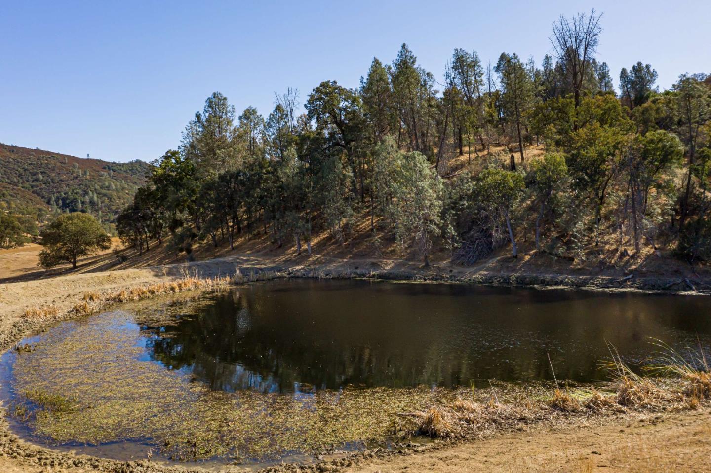 0 Beauregard Road, MOUNT HAMILTON, California 95140, ,Lots And Land,For Sale,Beauregard Road,40965367