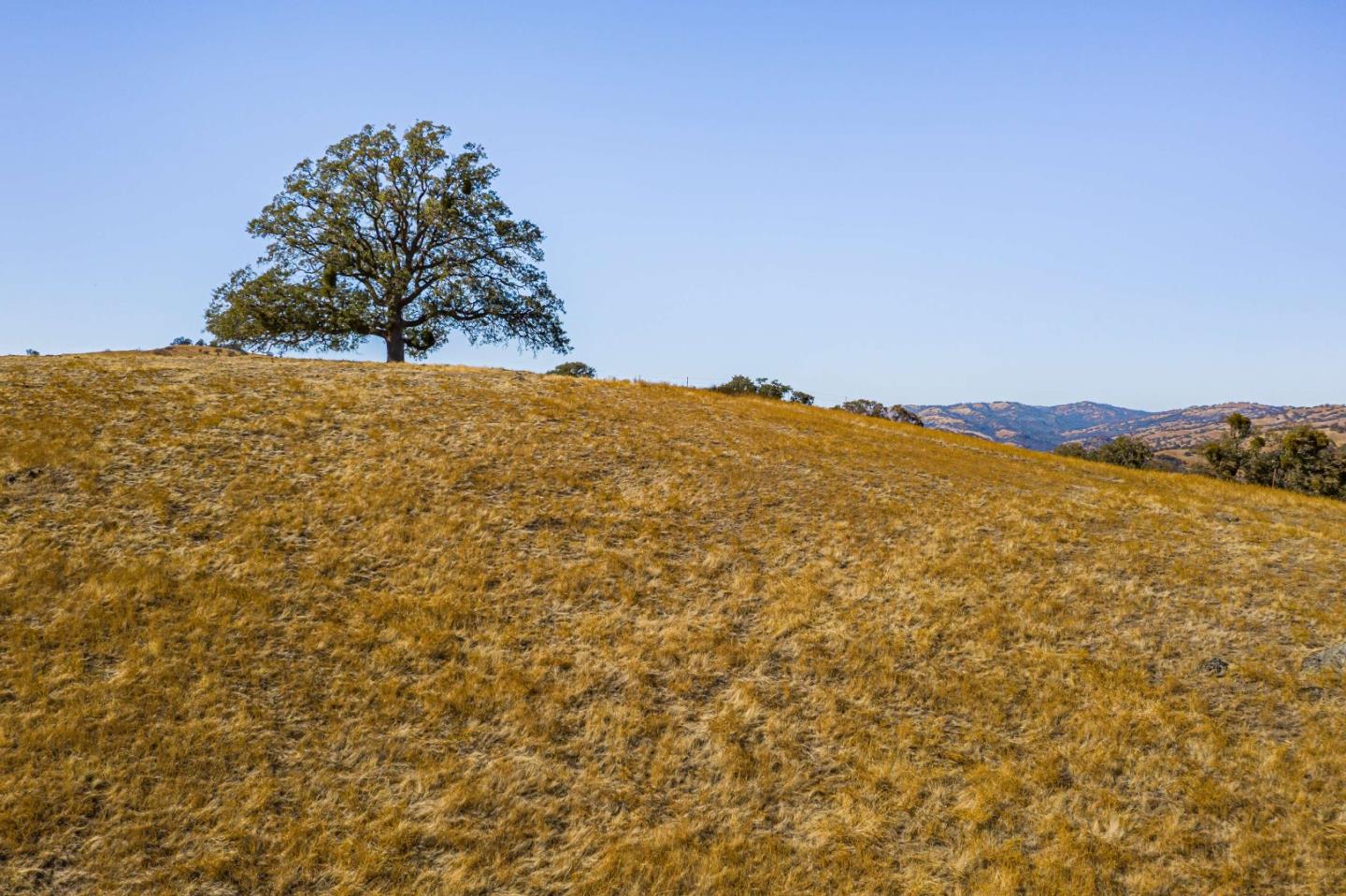 0 Beauregard Road, MOUNT HAMILTON, California 95140, ,Lots And Land,For Sale,Beauregard Road,40965367