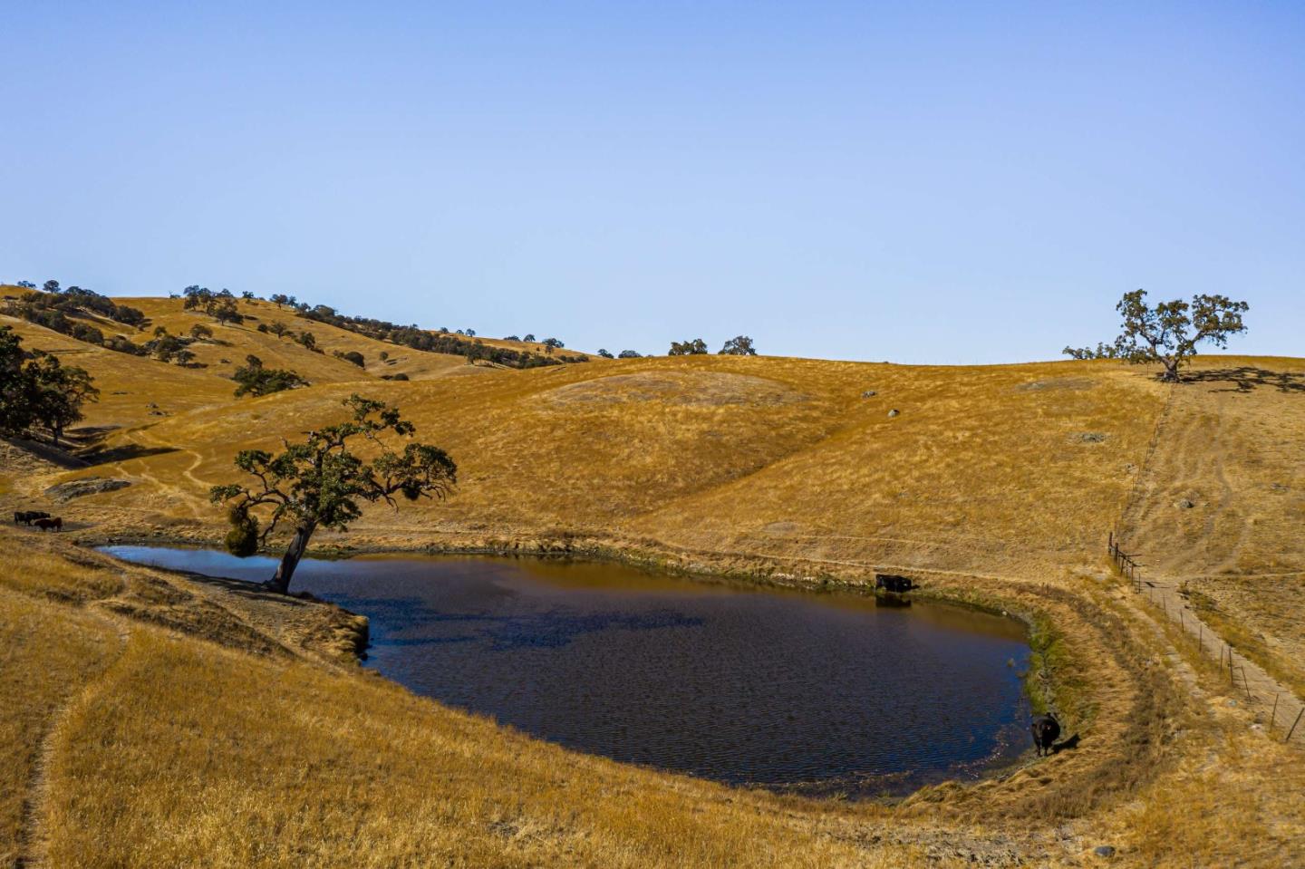 0 Beauregard Road, MOUNT HAMILTON, California 95140, ,Lots And Land,For Sale,Beauregard Road,40965367