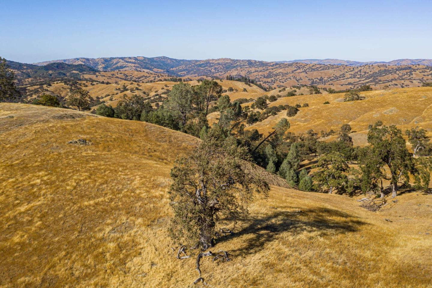 0 Beauregard Road, MOUNT HAMILTON, California 95140, ,Lots And Land,For Sale,Beauregard Road,40965367