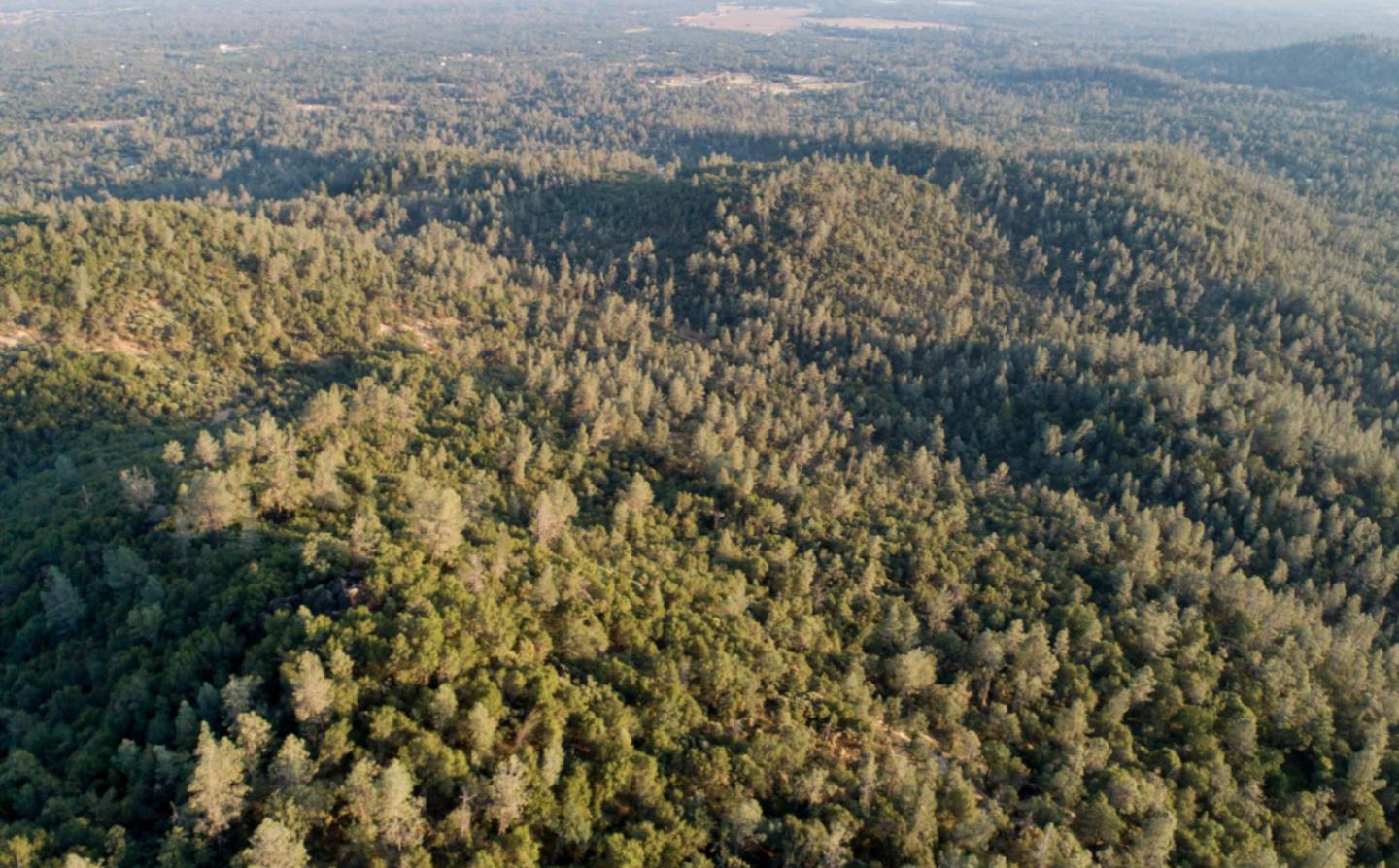 000 Christian Way, REDDING, California 96003, ,Lots And Land,For Sale,Christian Way,40965368