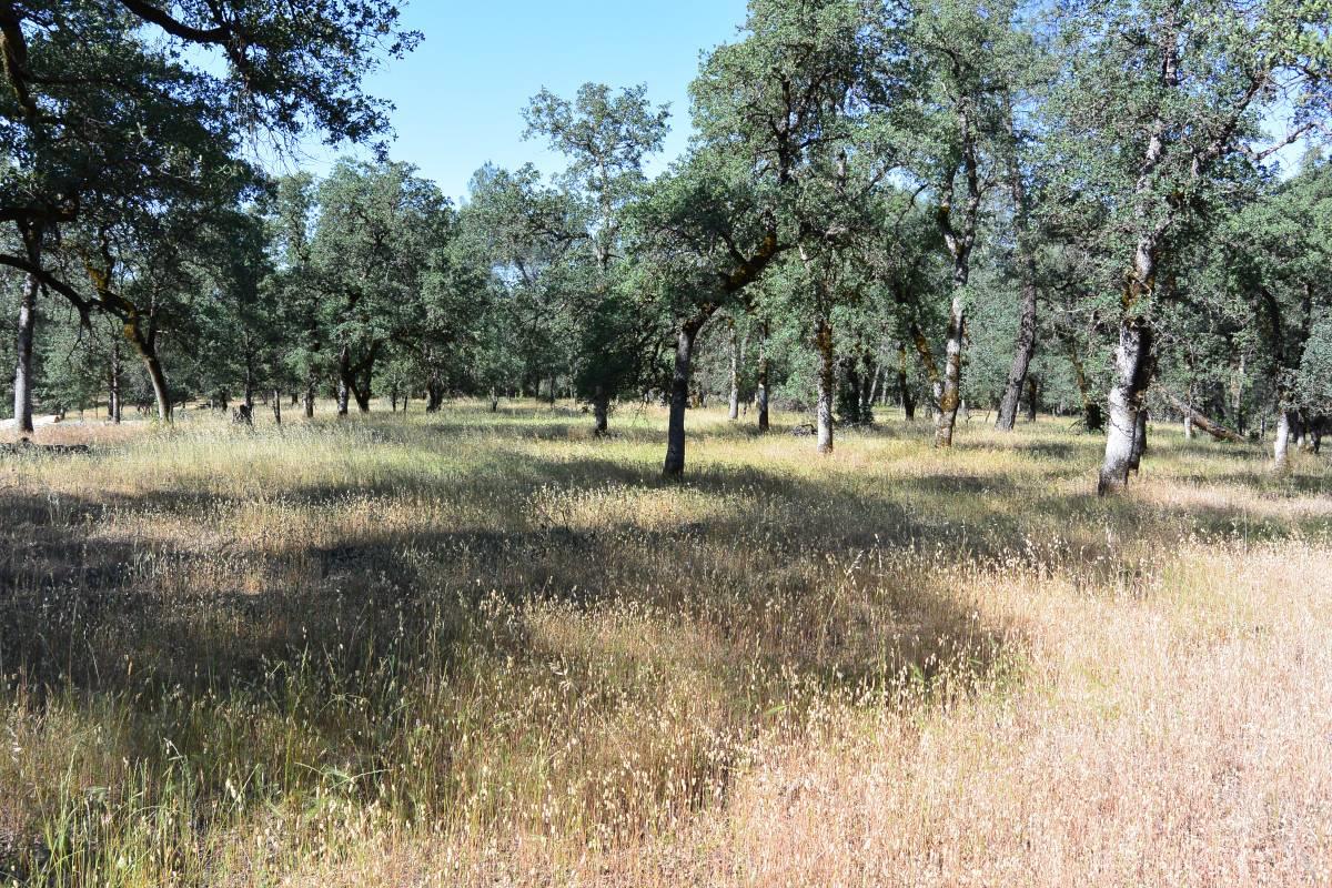 000 Christian Way, REDDING, California 96003, ,Lots And Land,For Sale,Christian Way,40965368