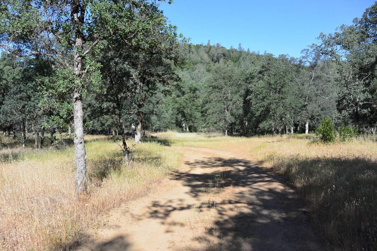 000 Christian Way, REDDING, California 96003, ,Lots And Land,For Sale,Christian Way,40965368