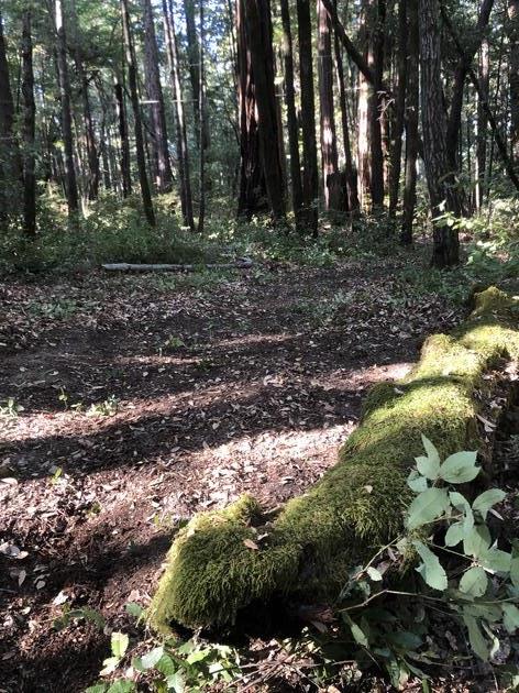 00 Back Road, LA HONDA, California 94020, ,Lots And Land,For Sale,Back Road,40965388