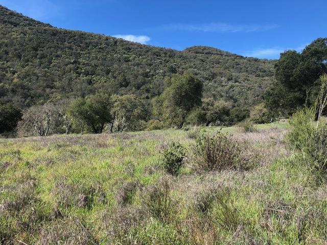 0 Arroyo Seco, GREENFIELD, California 93927, ,Lots And Land,For Sale,Arroyo Seco,40965395