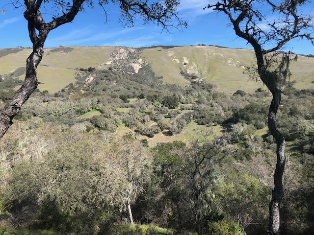 0 Arroyo Seco, GREENFIELD, California 93927, ,Lots And Land,For Sale,Arroyo Seco,40965395